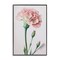 Stupell Industries Pale Carnation Budding Framed Giclee Wall Art Design by Incado